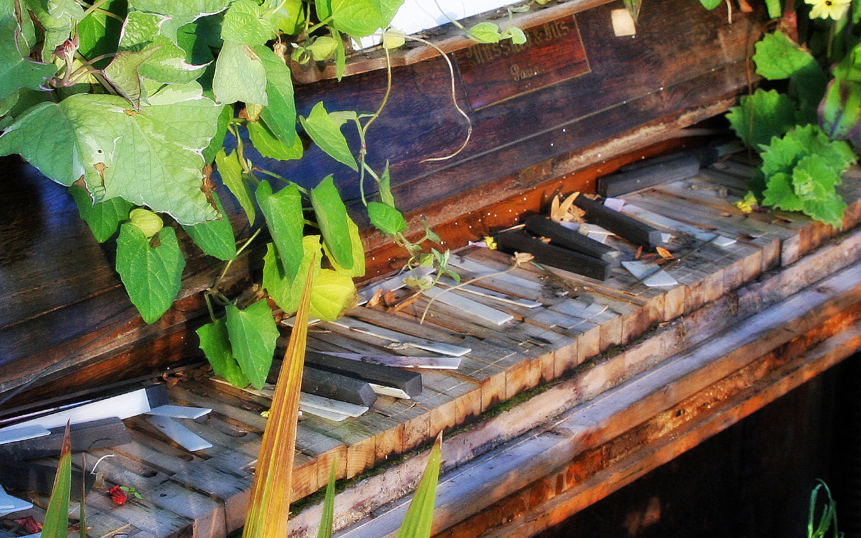 Canon EOS 40D sample photo. Abandoned piano photography