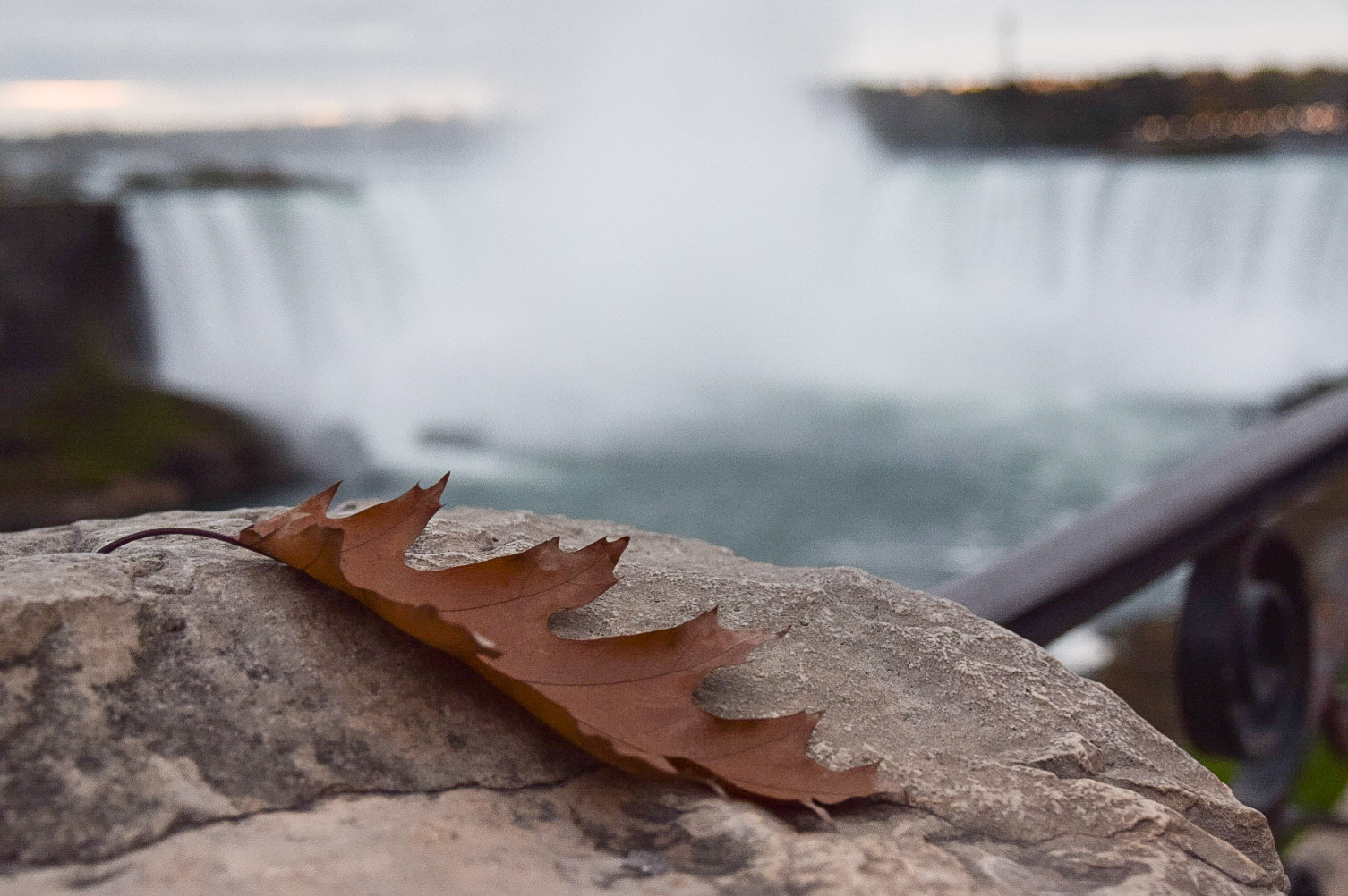 Sigma 17-70mm F2.8-4 DC Macro OS HSM sample photo. Canada photography