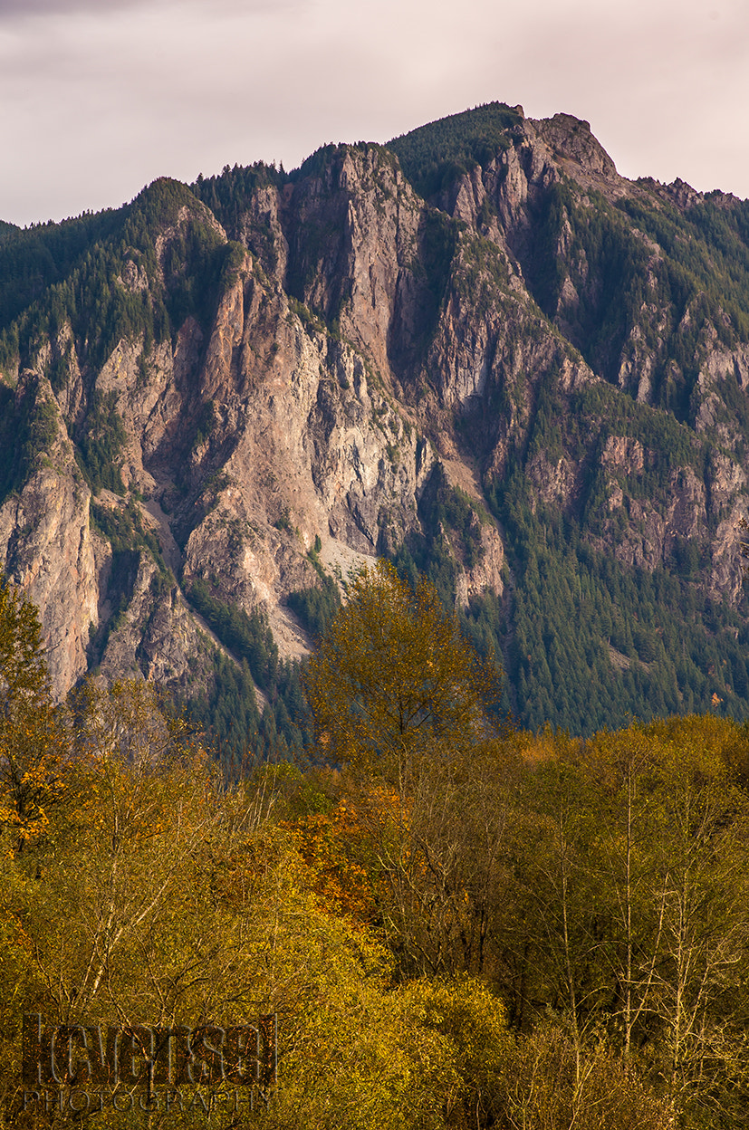 Pentax smc D-FA 100mm F2.8 Macro WR sample photo. Mount si photography