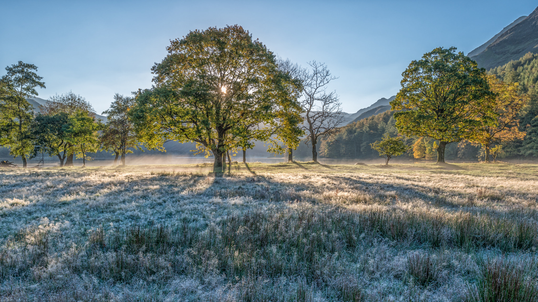 Nikon D800 + Nikon PC-E Nikkor 24mm F3.5D ED Tilt-Shift sample photo. First frost at buttermere photography