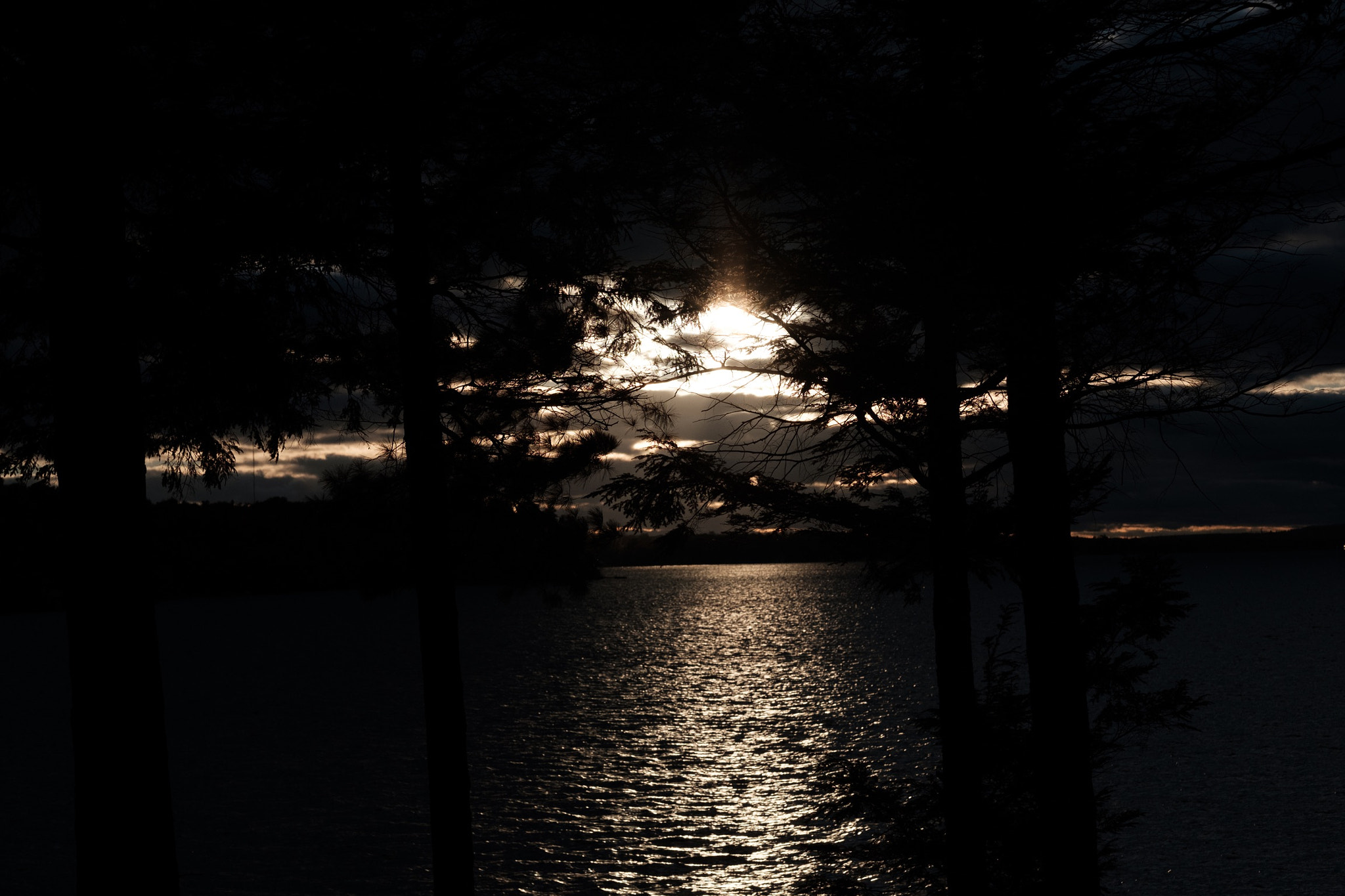 Fujifilm X-T2 + Fujifilm XF 56mm F1.2 R APD sample photo. Getting dark photography