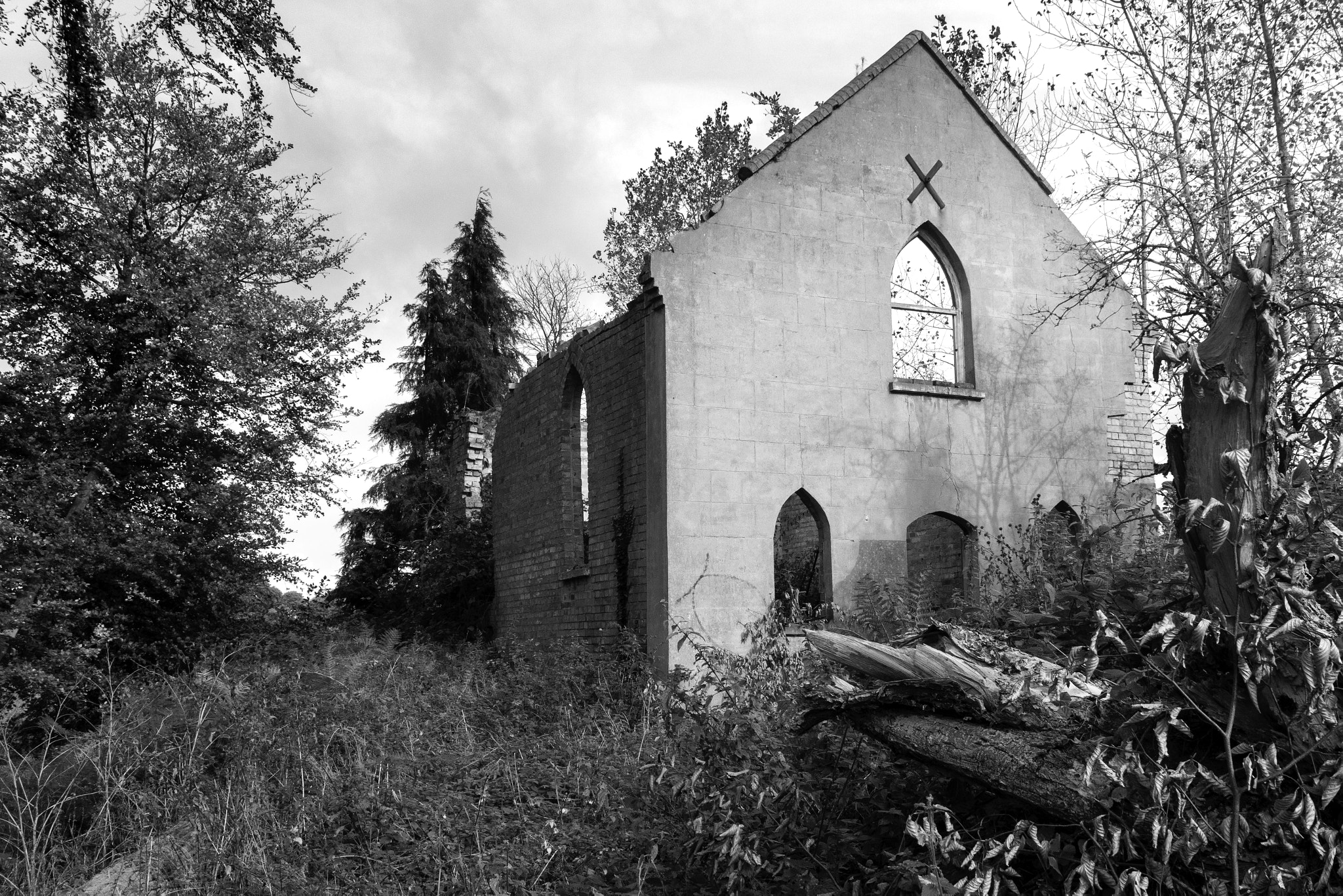 Canon EOS 80D + Sigma 18-50mm f/2.8 Macro sample photo. Decaying church in the middle of a forest. photography