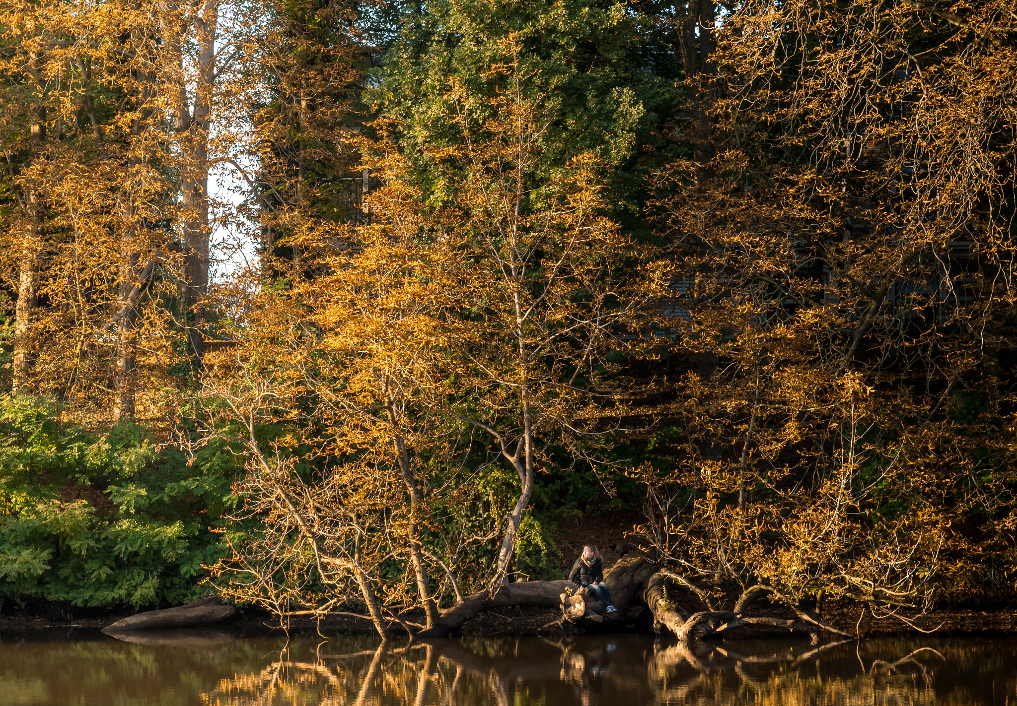 Nikon D500 sample photo. One with nature photography
