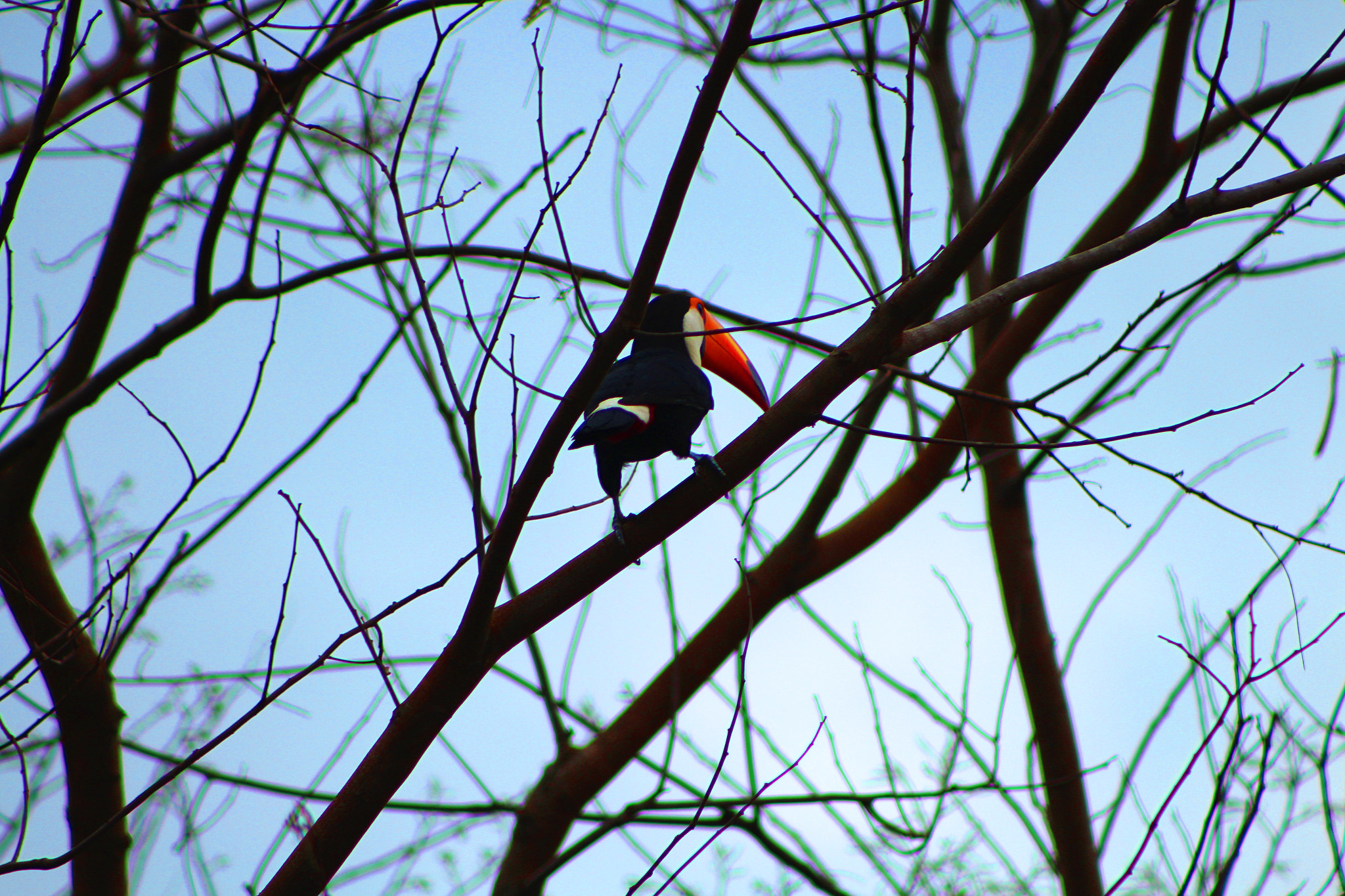 Canon EF 75-300mm f/4-5.6 USM sample photo. Tucano photography