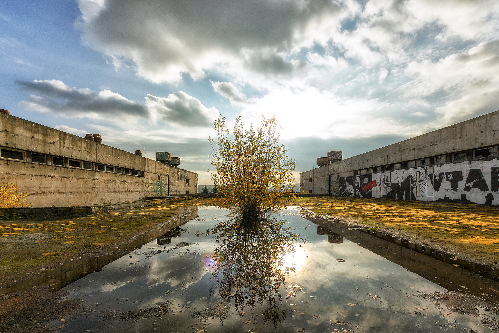 Sigma 8-16mm F4.5-5.6 DC HSM sample photo. Autumn photography