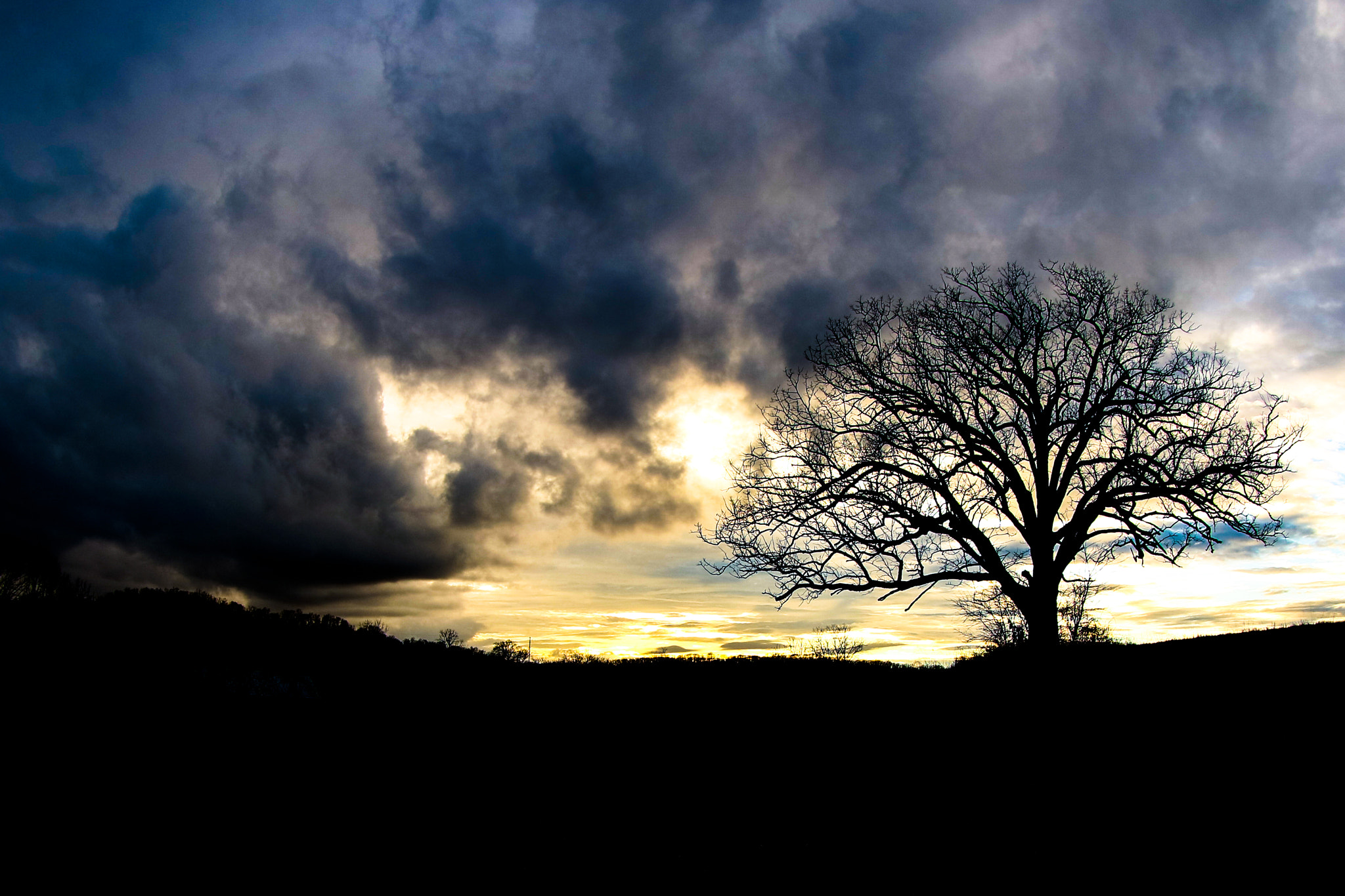 Canon EF 8-15mm F4L Fisheye USM sample photo. Img photography