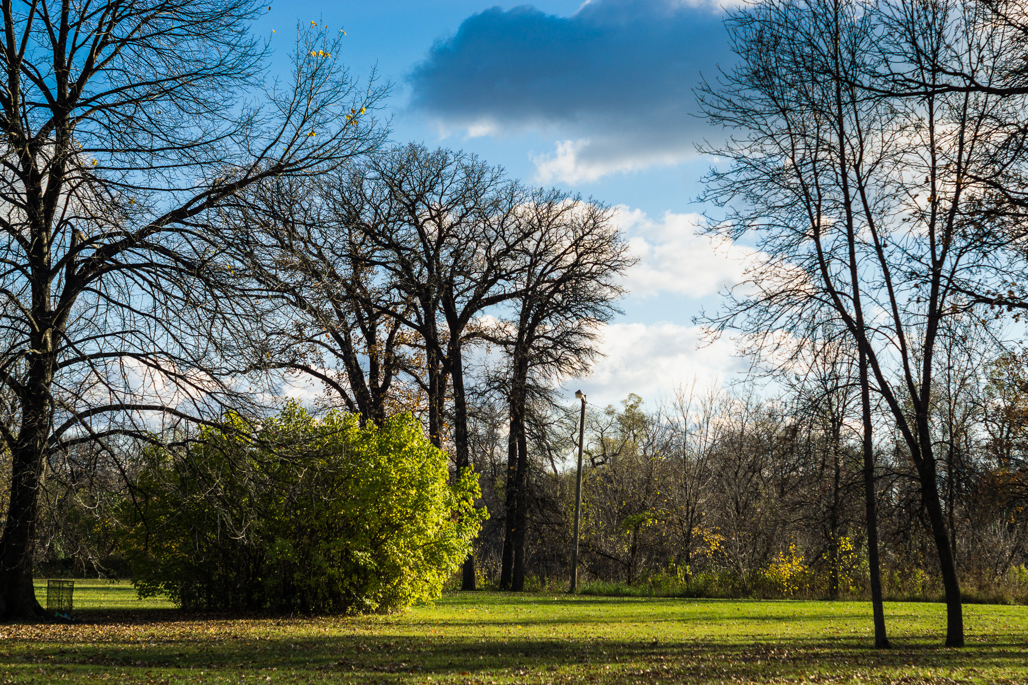 Minolta AF 50mm F1.7 sample photo. Park greens photography