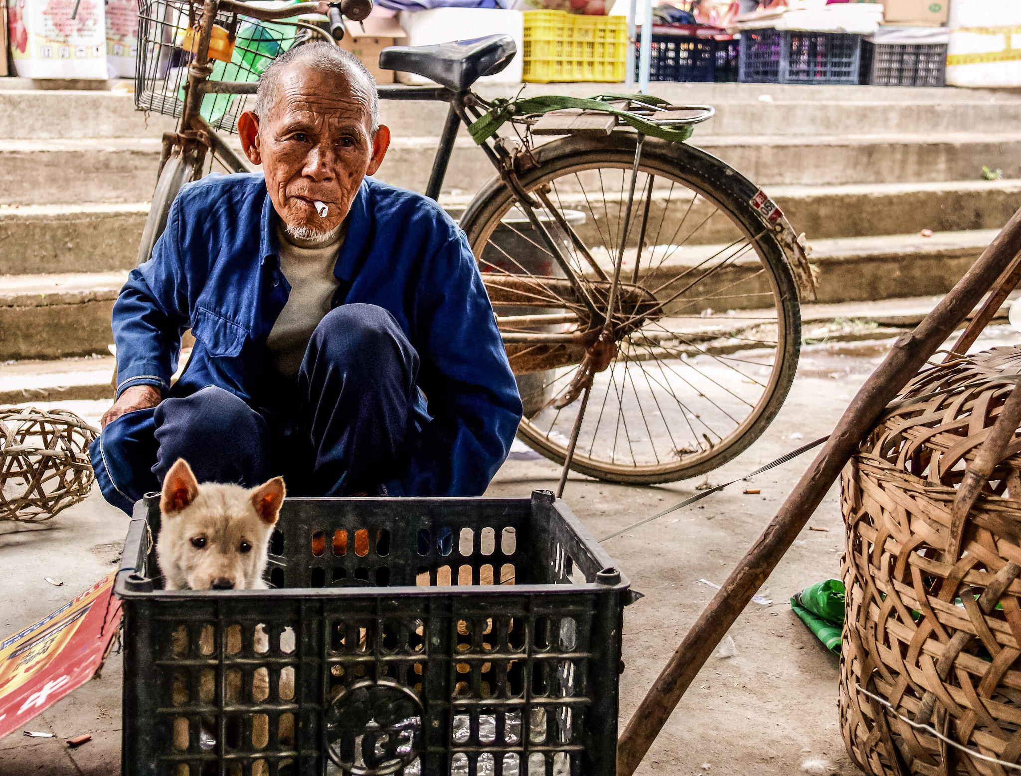 Canon EF-S 18-200mm F3.5-5.6 IS sample photo. Puppy for sale, chinese market, guillin area photography