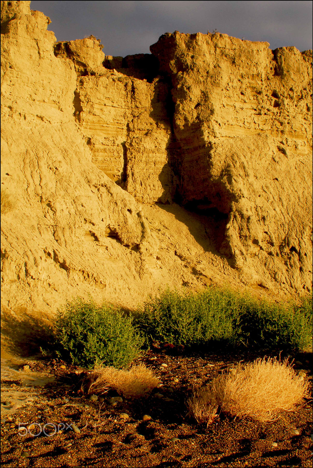 Nikon AF-S Nikkor 28-70mm F2.8 ED-IF sample photo. Parque nacional monte leon, santa cruz, argentina photography