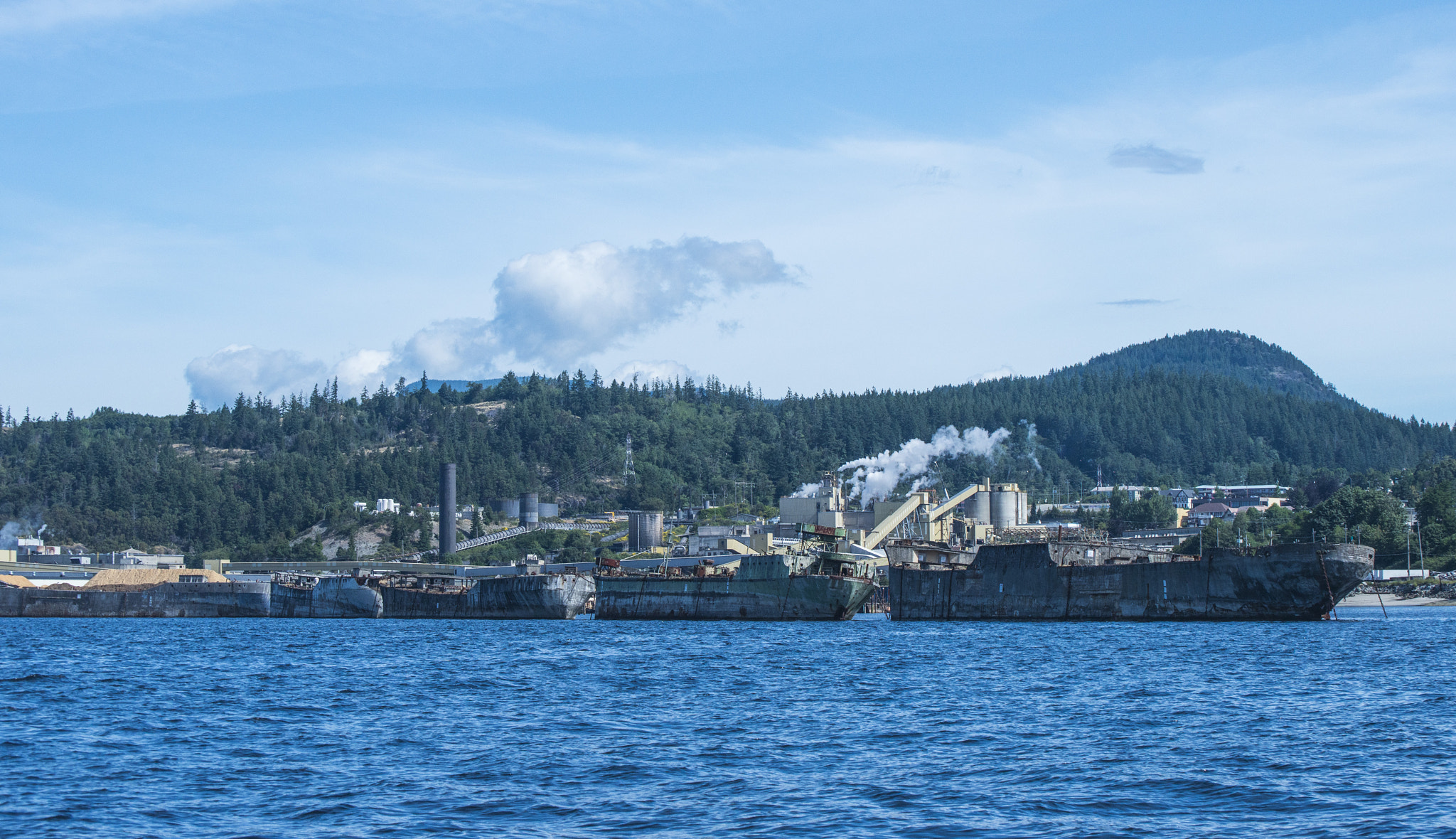 Nikon D800E sample photo. Powell river breakwater photography
