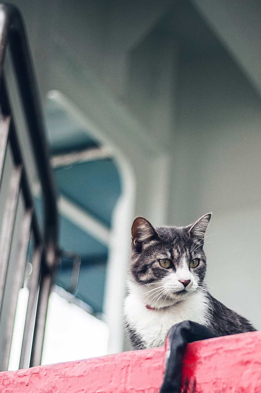 v2?sig=88c1d010703dae1cca3f4d88a6df2aa2fe1c637d70203804cd8fd209d332cf33