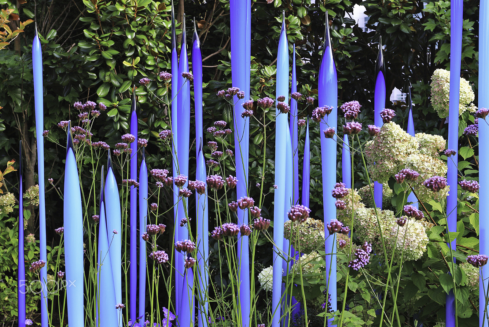 Canon EOS 700D (EOS Rebel T5i / EOS Kiss X7i) + Canon EF 17-40mm F4L USM sample photo. Chihuly -in the garden photography