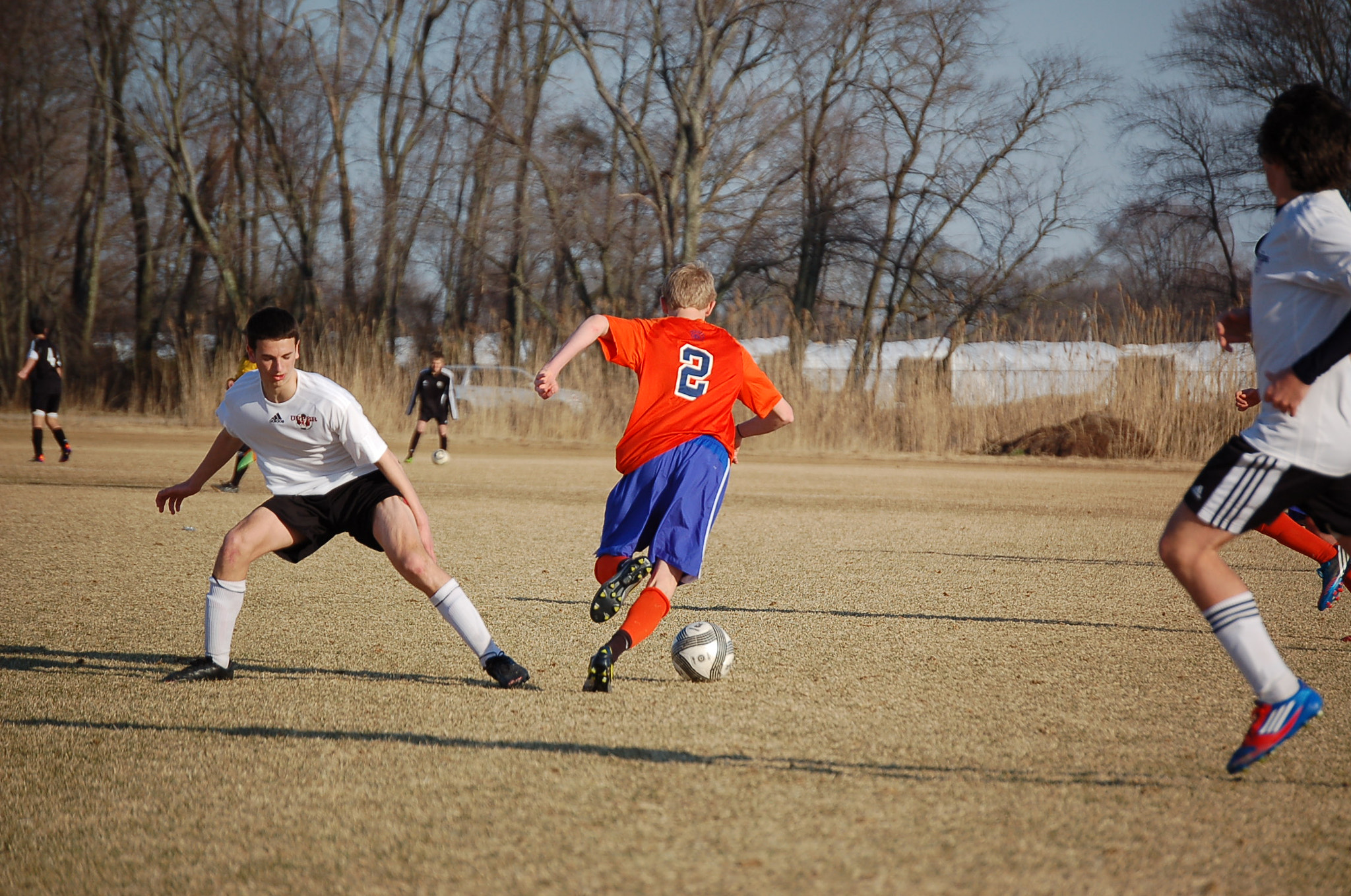Nikon D50 sample photo. Beaten  photography