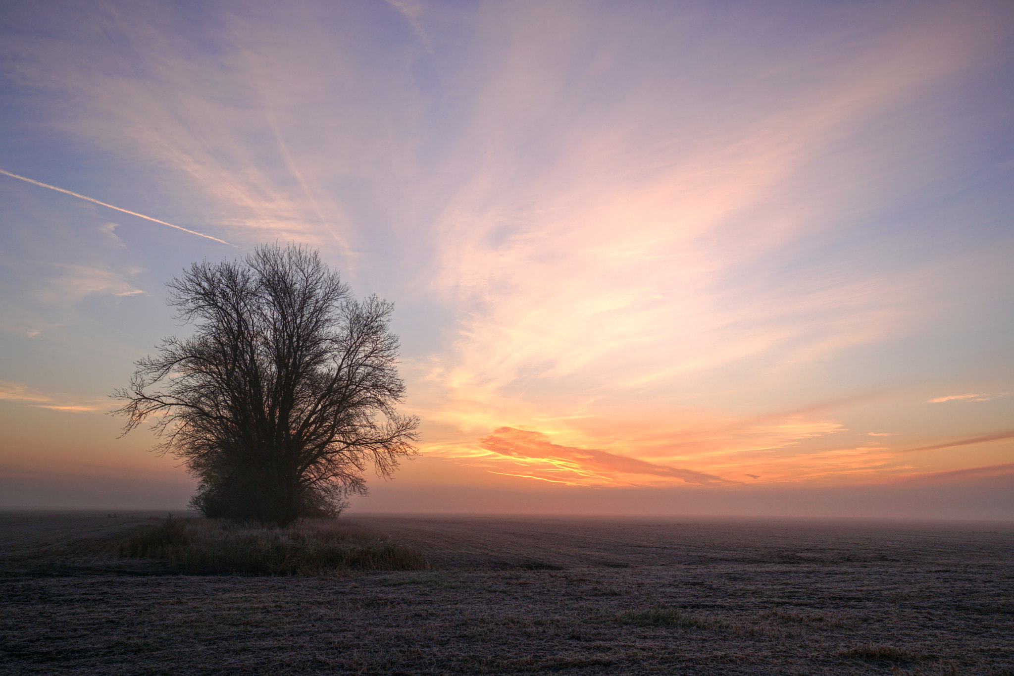 Sony a6300 + Sony Sonnar T* E 24mm F1.8 ZA sample photo. Foggy field sunrise photography
