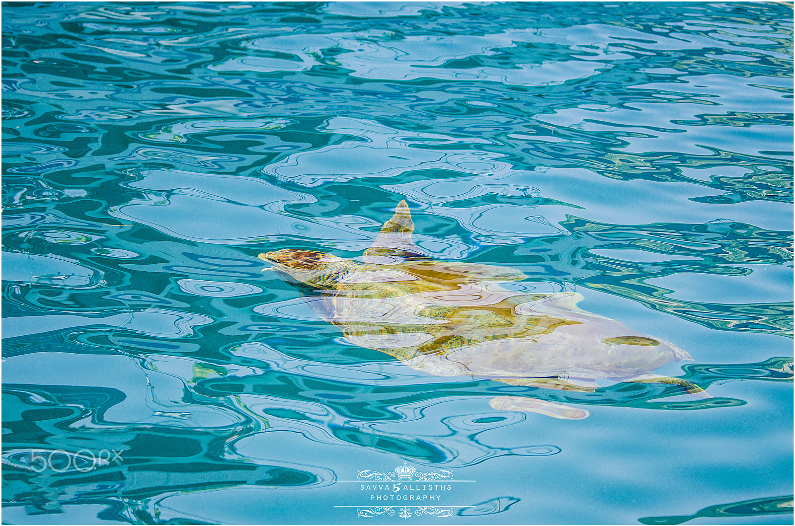 Sigma 120-400mm F4.5-5.6 DG OS HSM sample photo. !!!!!!!!!!!!!!! photography