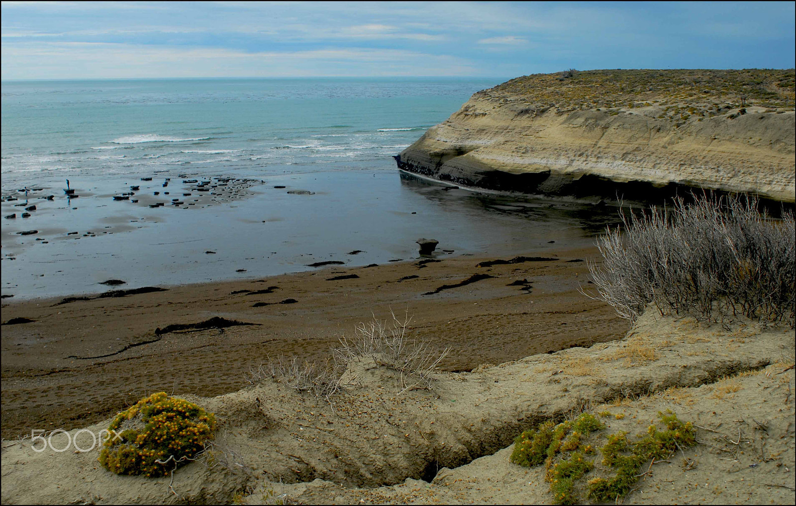 Nikon AF-S Nikkor 28-70mm F2.8 ED-IF sample photo. Monte leon photography