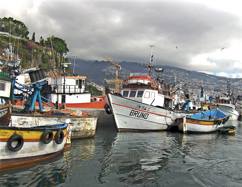 HP PHOTOSMART R927  (V01.00) sample photo. Fishing boats photography