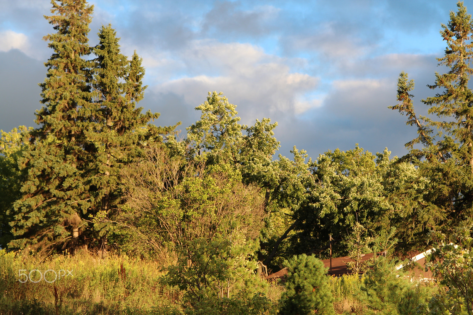 Canon EOS 600D (Rebel EOS T3i / EOS Kiss X5) sample photo. Beautiful moment photography