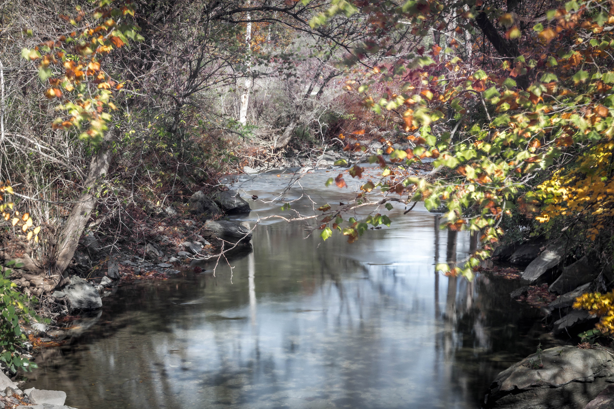 Canon EOS 650D (EOS Rebel T4i / EOS Kiss X6i) sample photo. Fall photography