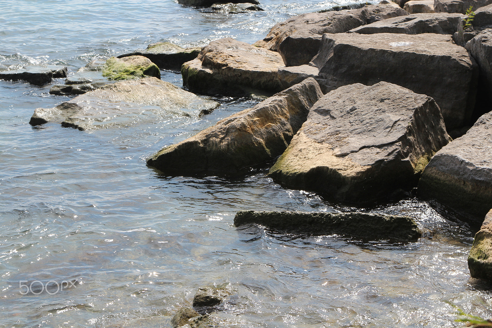 Canon EOS 600D (Rebel EOS T3i / EOS Kiss X5) sample photo. Img photography