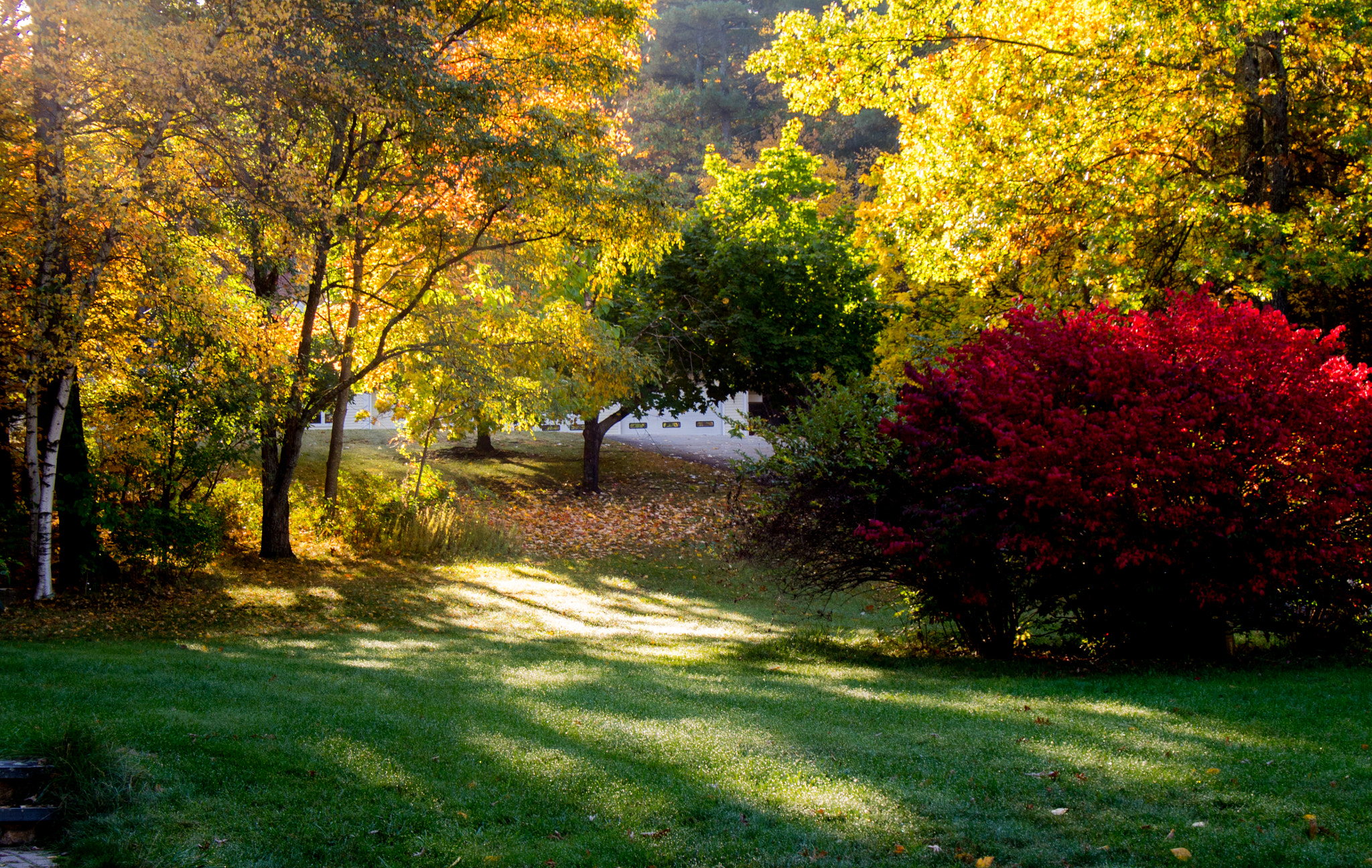 Olympus PEN E-PM2 sample photo. A beautiful morning photography