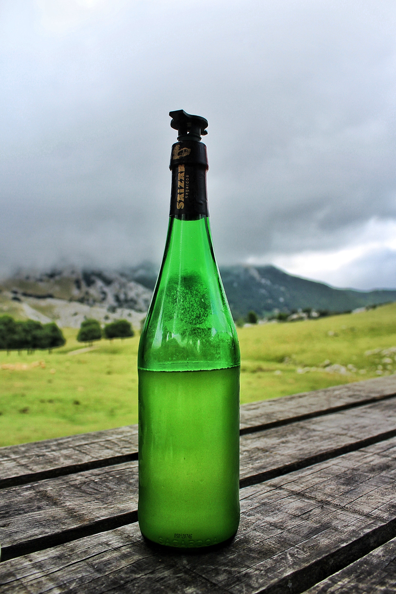 Canon EF-S 18-55mm F3.5-5.6 IS II sample photo. Bottle of txakoli, a white basque wine photography