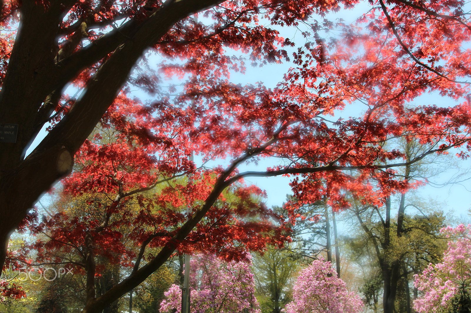 Canon EOS 600D (Rebel EOS T3i / EOS Kiss X5) sample photo