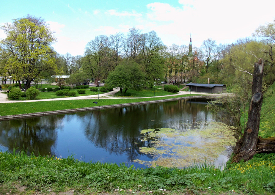 Kodak EASYSHARE M580 DIGITAL CAMERA sample photo. Toompark lake view photography