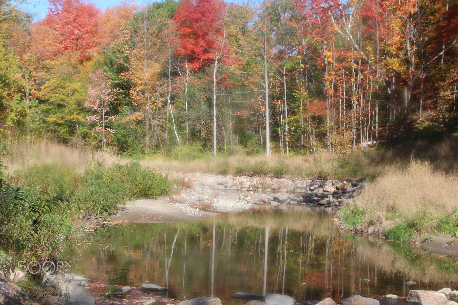 Canon EOS 600D (Rebel EOS T3i / EOS Kiss X5) sample photo. "autumn is a second spring" photography
