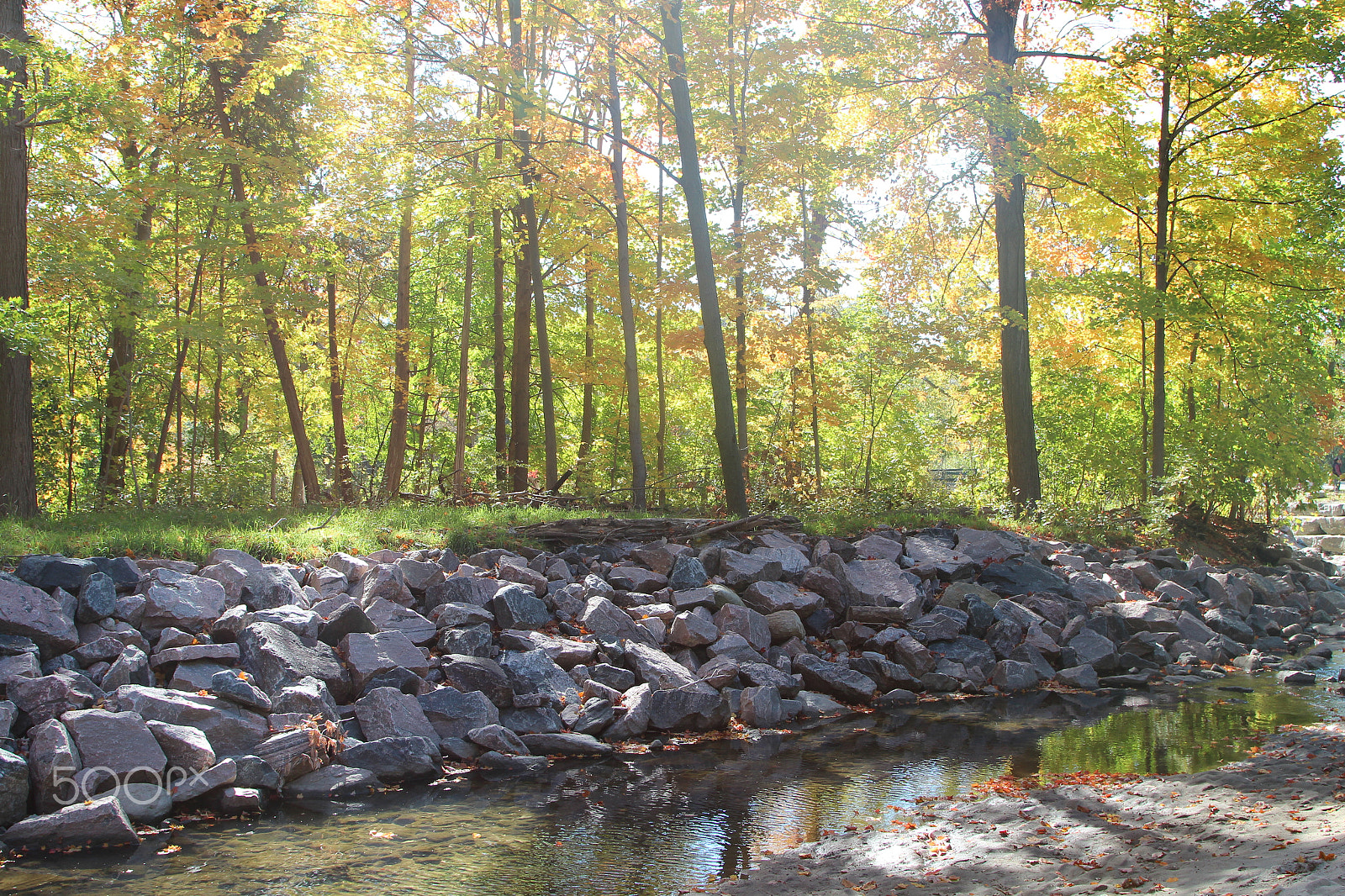 Canon EOS 600D (Rebel EOS T3i / EOS Kiss X5) sample photo. "autumn is a second spring" photography