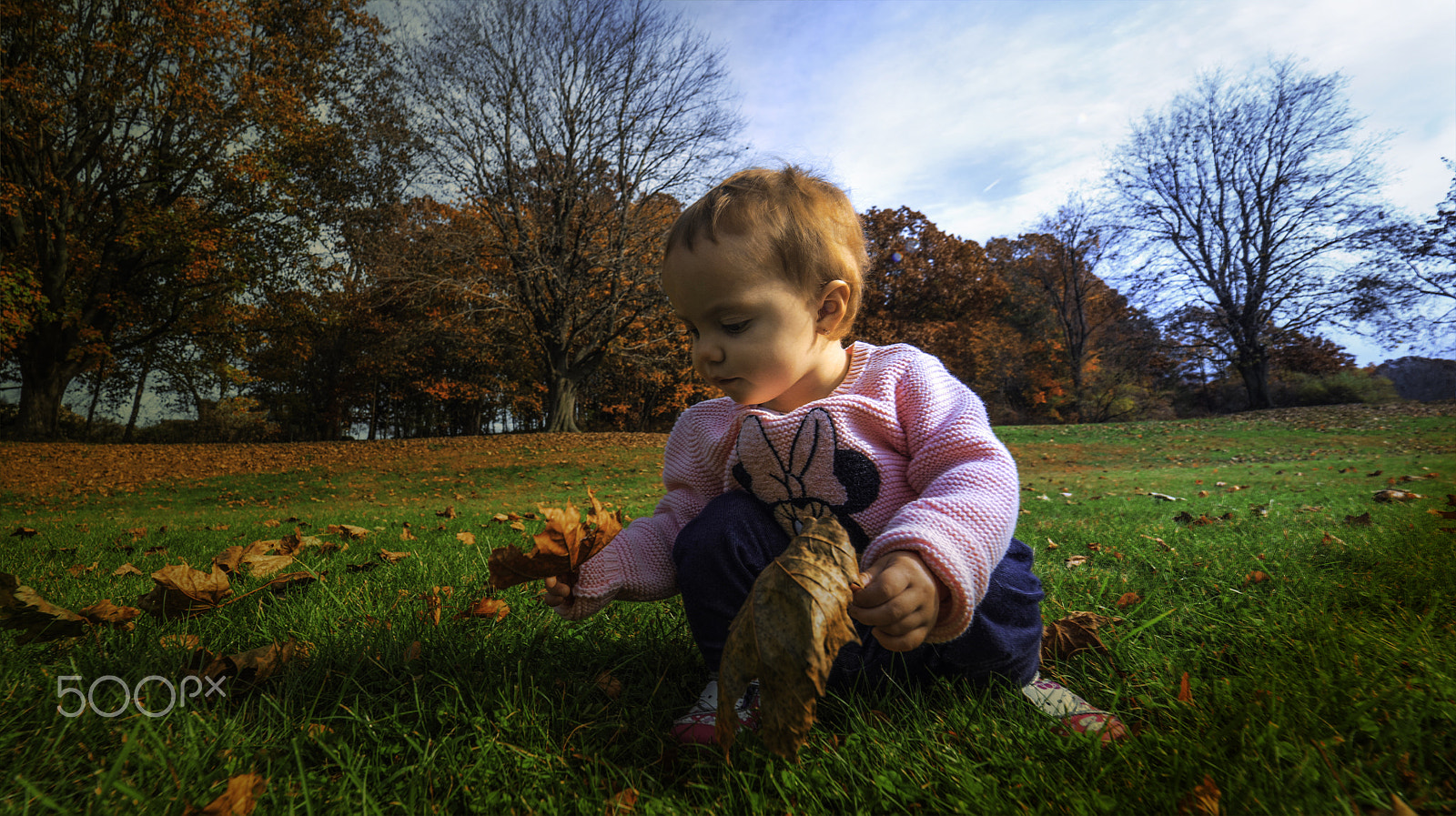 Panasonic Lumix DMC-GH4 + Olympus M.Zuiko Digital ED 7-14mm F2.8 PRO sample photo. Fall ii photography
