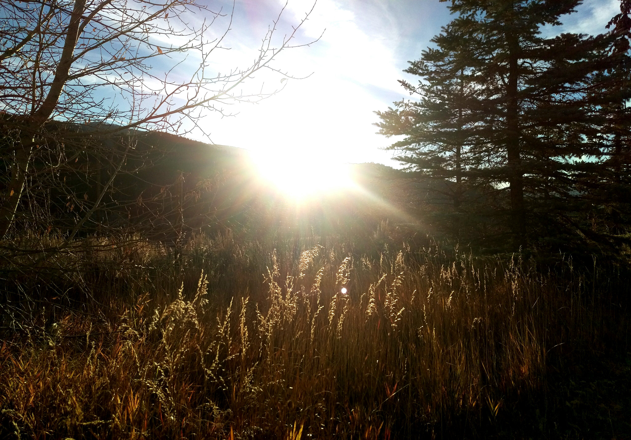 HTC M9 sample photo. Berg sonne photography