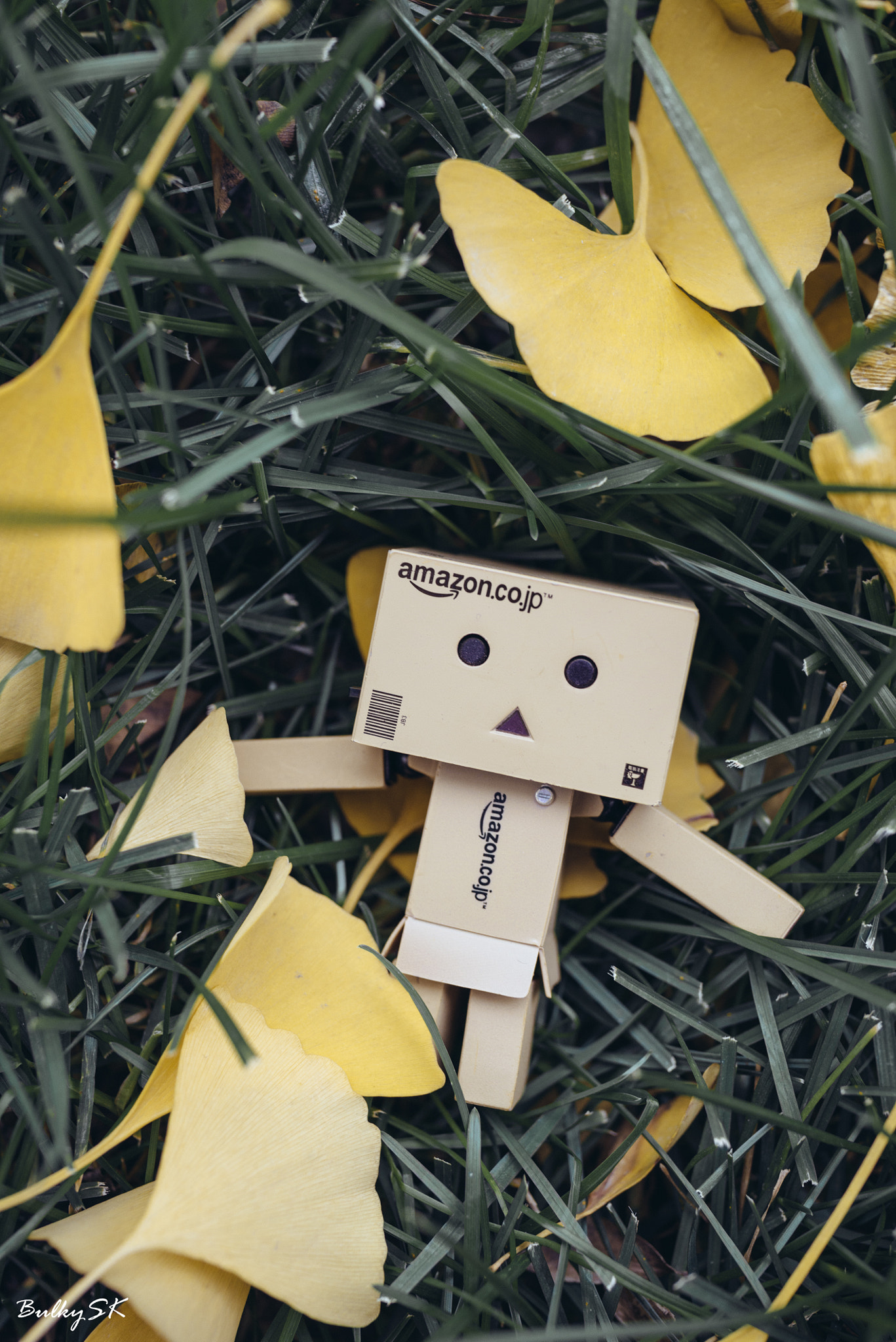 Nikon D610 + Tamron SP 35mm F1.8 Di VC USD sample photo. Danboard&leaves photography