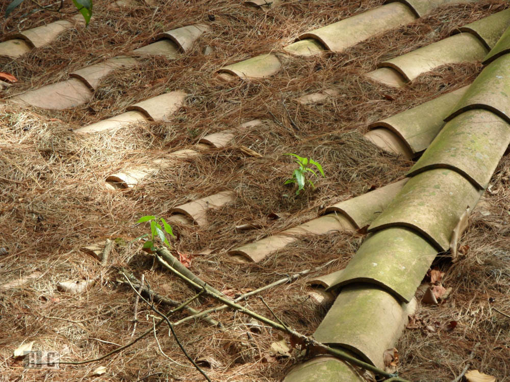 Samsung WB650 / VLUU WB650 /  WB660 sample photo. Sam photography