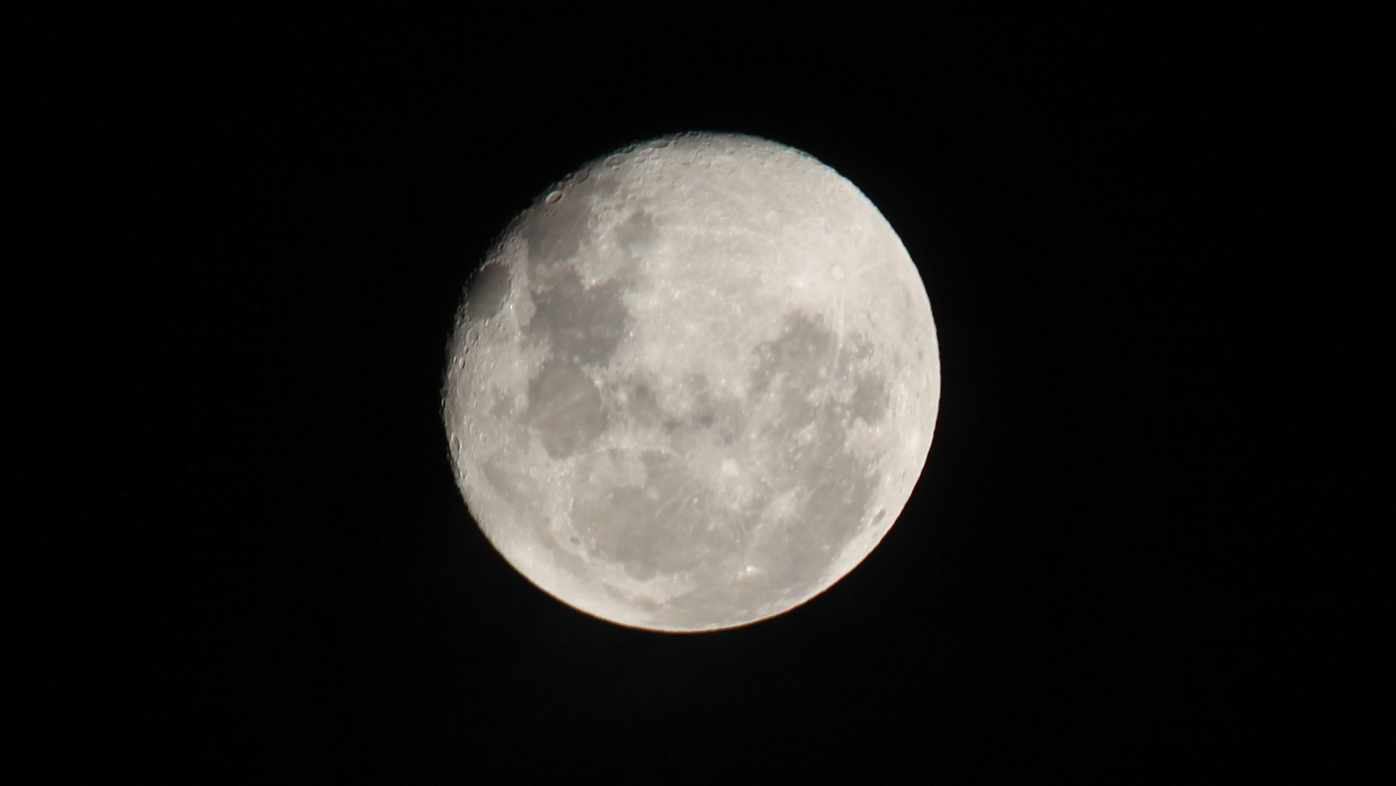 Canon EOS 5D Mark II sample photo. Near full moon over the pinnacles, wa photography