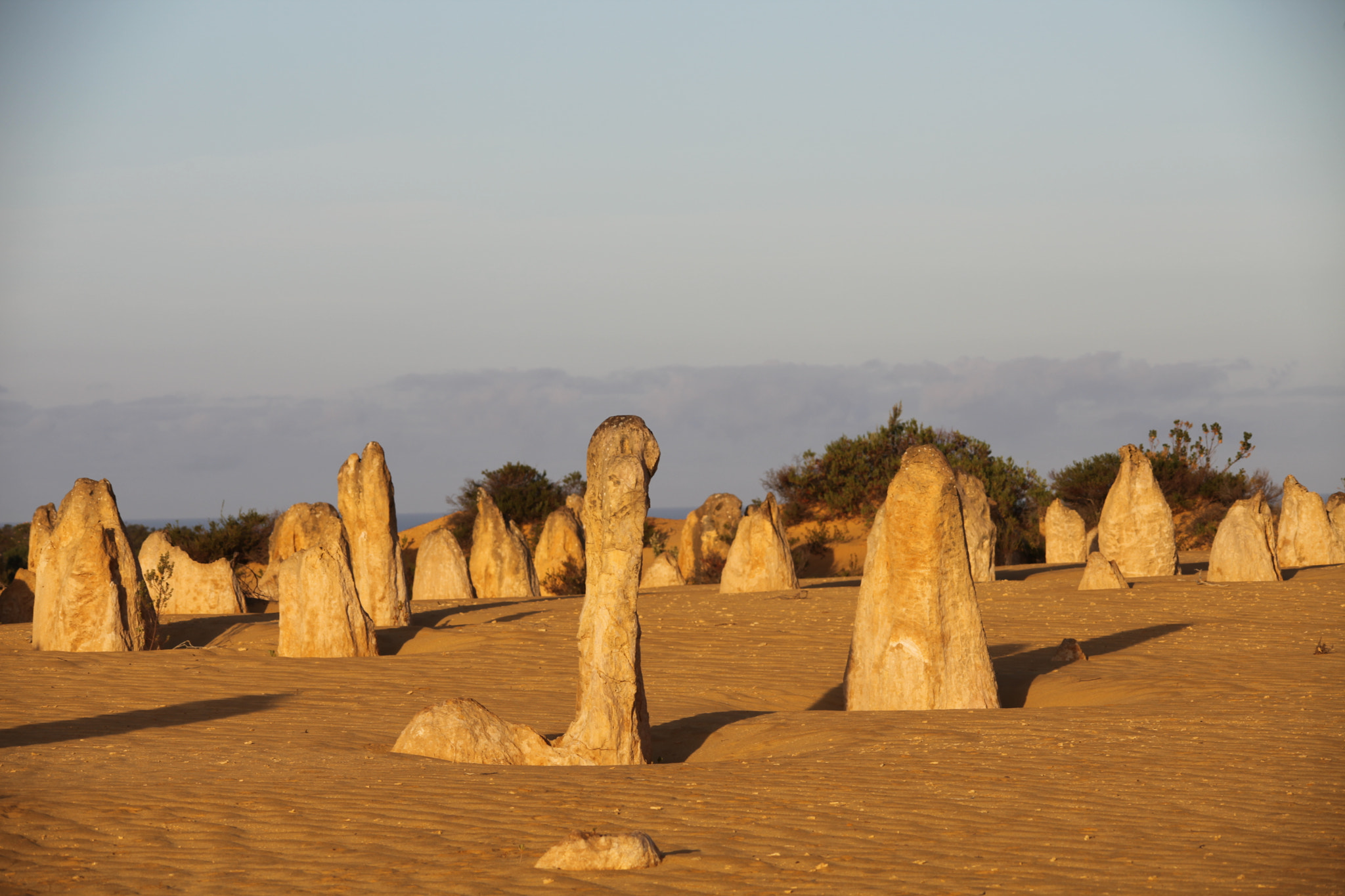 Sigma 150-500mm F5-6.3 DG OS HSM sample photo. The pinnacles desert wa, in the morning light photography