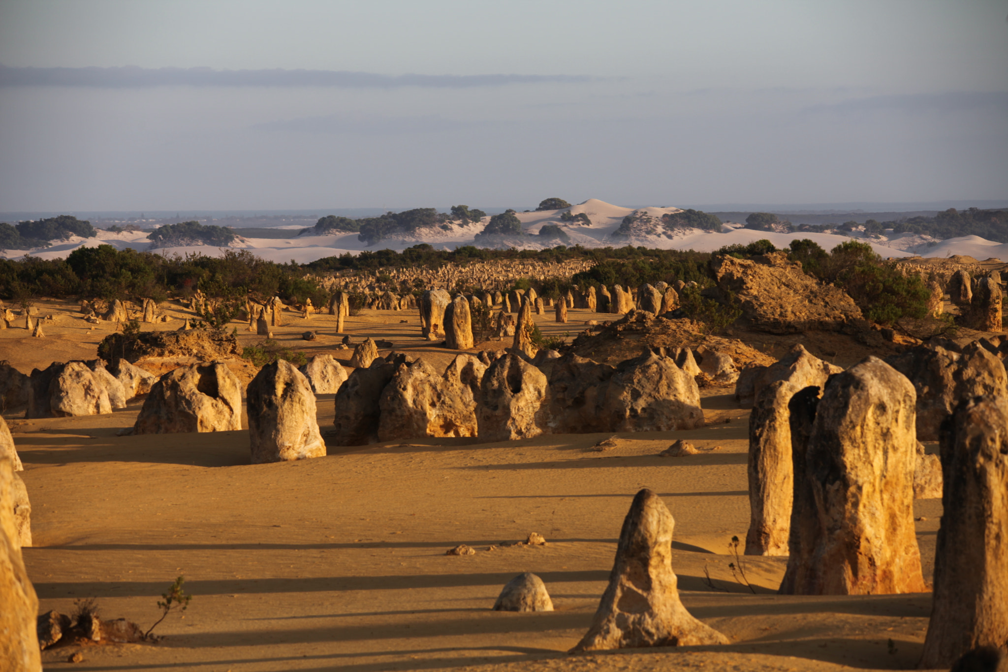 Sigma 150-500mm F5-6.3 DG OS HSM sample photo. The pinnacles desert wa, in the morning light photography