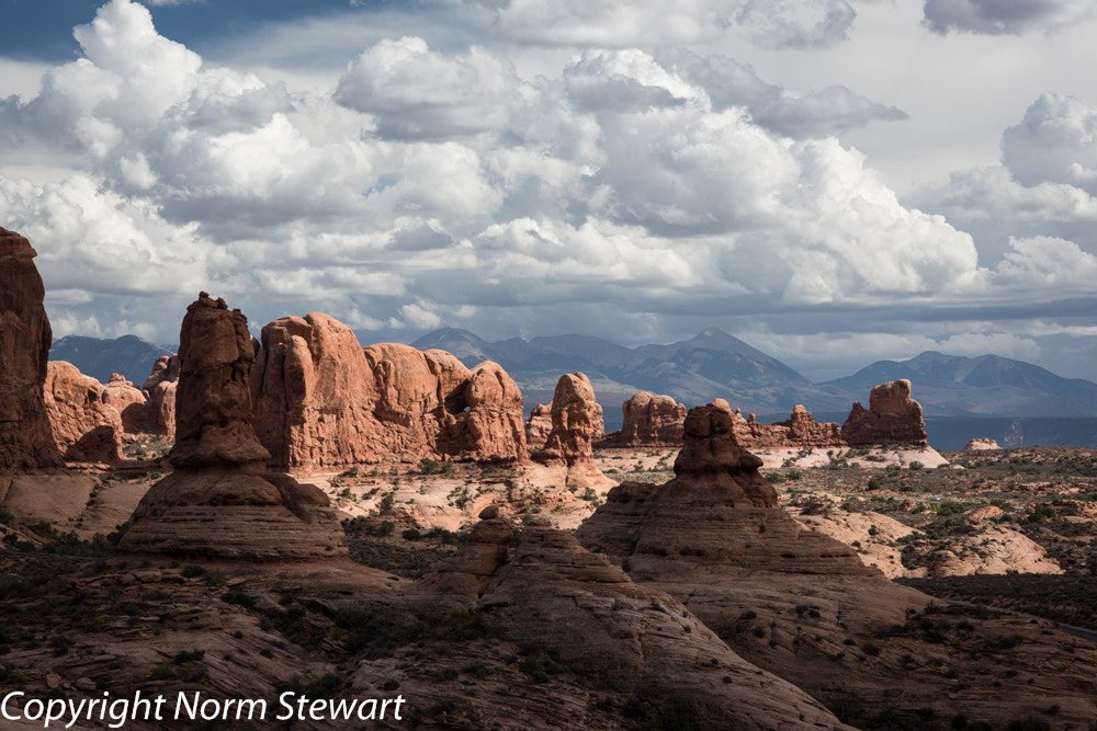 Nikon D810 + ZEISS Makro-Planar T* 100mm F2 sample photo. Arches, devil's garden photography