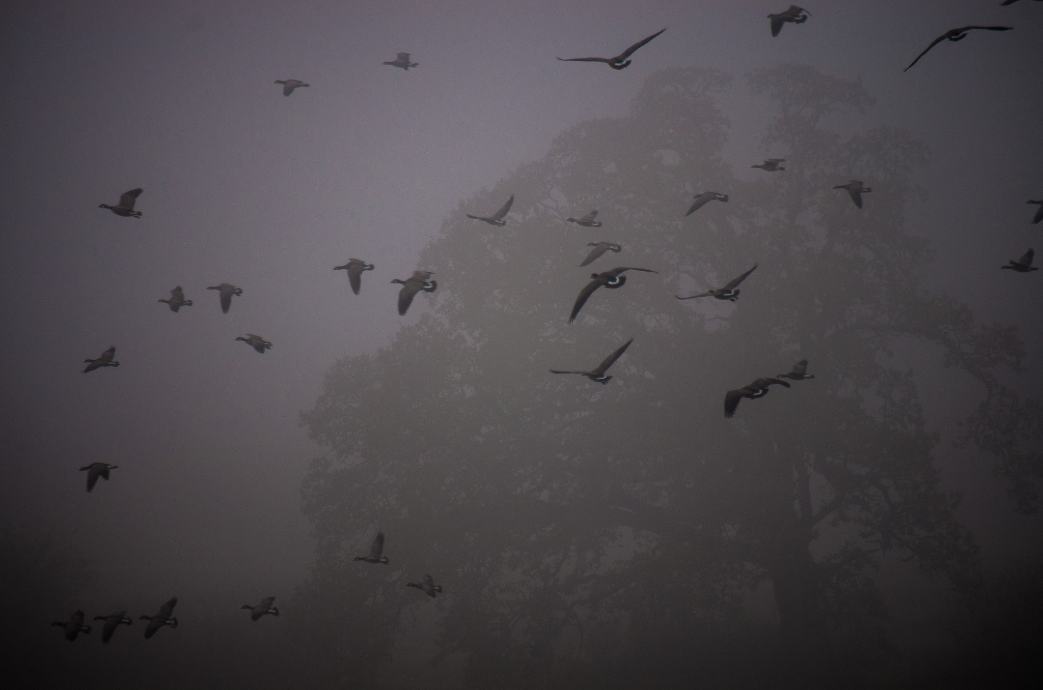 Pentax K-5 II + smc Pentax-DA L 50-200mm F4-5.6 ED WR sample photo. Tualitan refuge photography