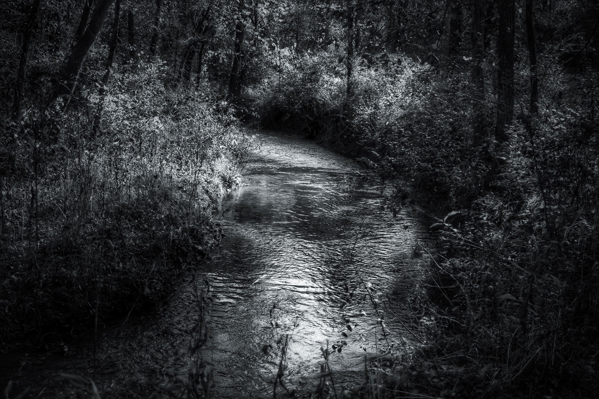 Canon EOS 1000D (EOS Digital Rebel XS / EOS Kiss F) sample photo. Flowing creek at dusk photography