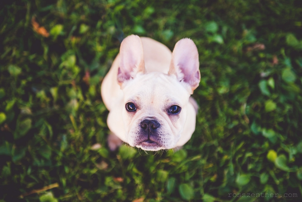 v2?sig=2ac44f5b948adfebc170b82809151eca2185e4ee77cc638cc5315380ec889859