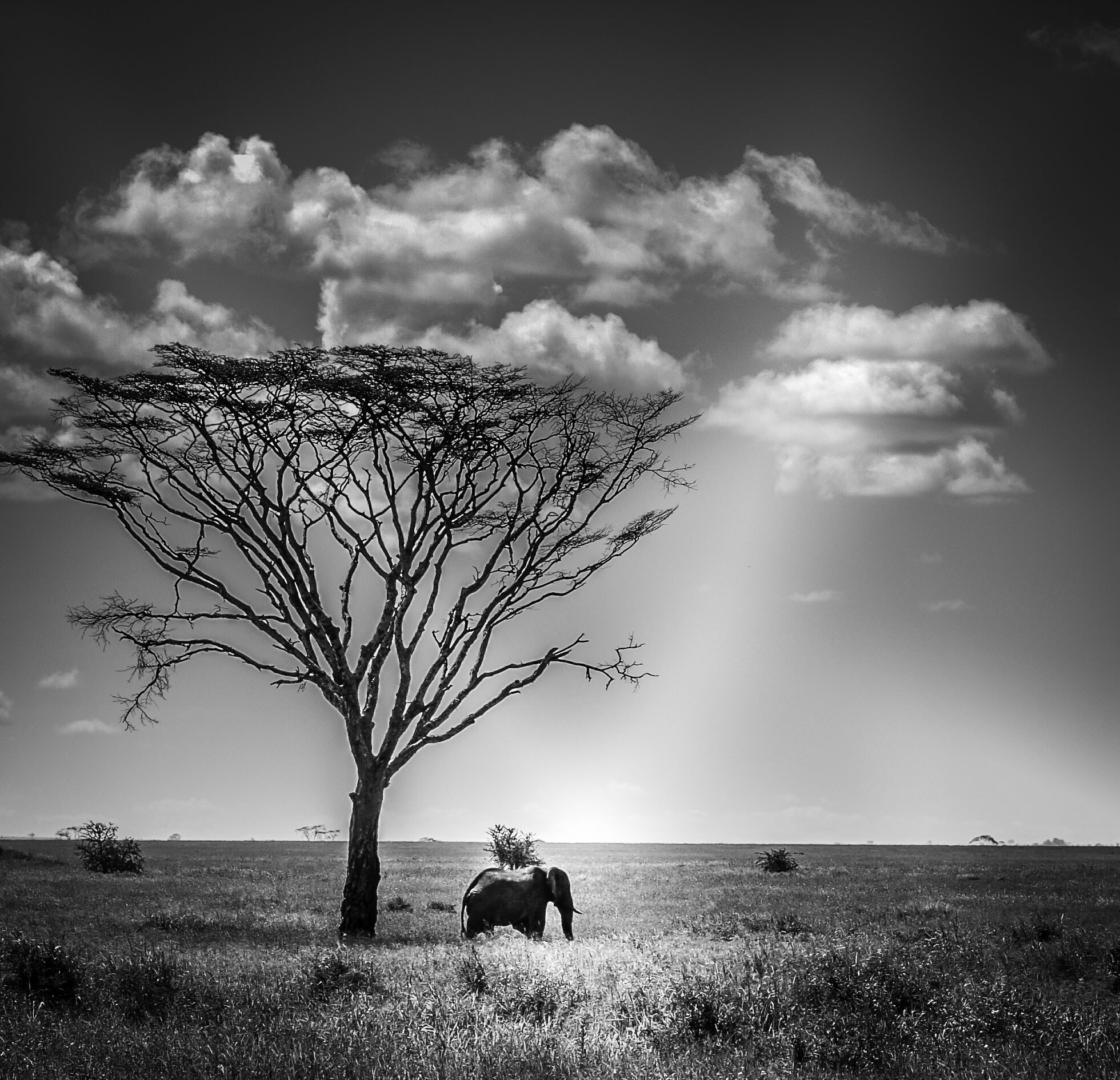Nikon D50 sample photo. Tanzania landscape photography