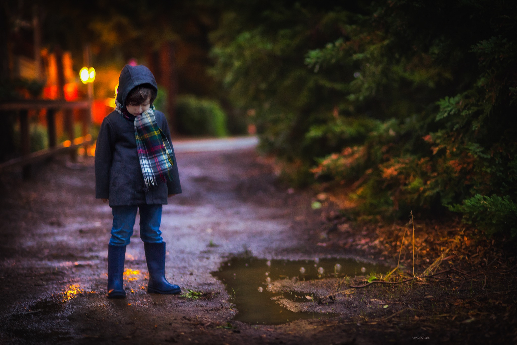 Nikon D600 + AF Nikkor 85mm f/1.8 sample photo. Rainy morning photography