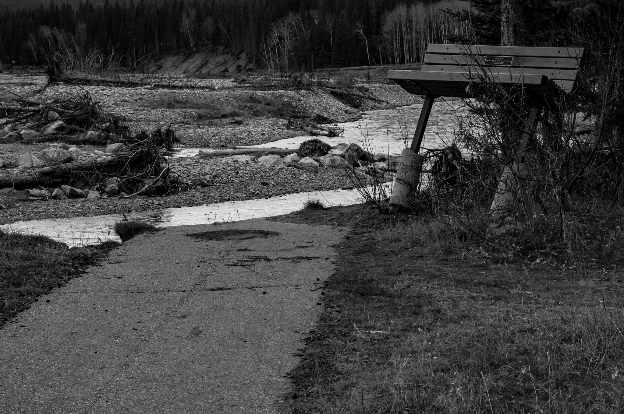 Sigma 17-70mm F2.8-4 DC Macro OS HSM sample photo. Allen bill pond, ab photography