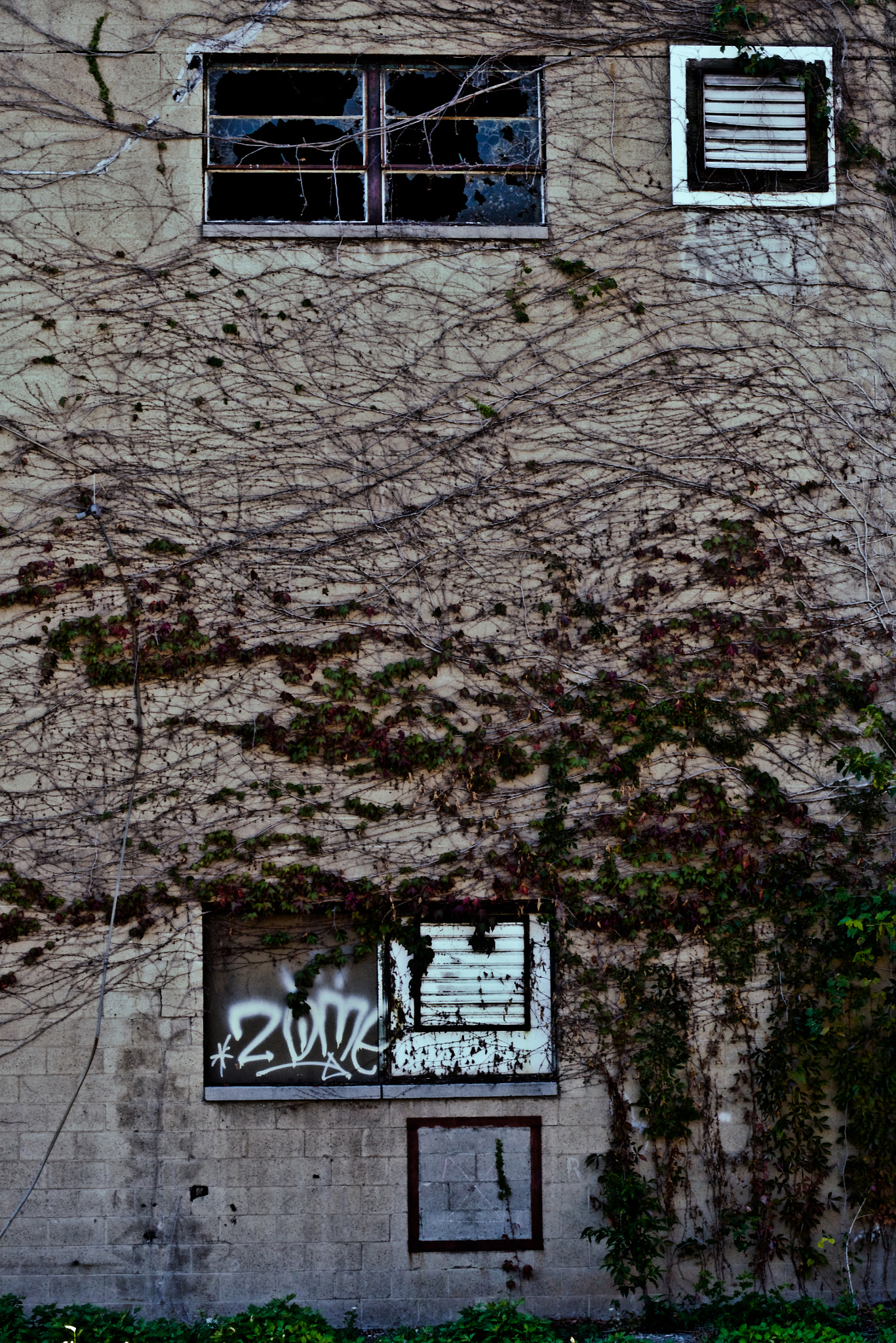Panasonic Leica DG Nocticron 42.5mm F1.2 ASPH OIS sample photo. Verdant reclamation photography