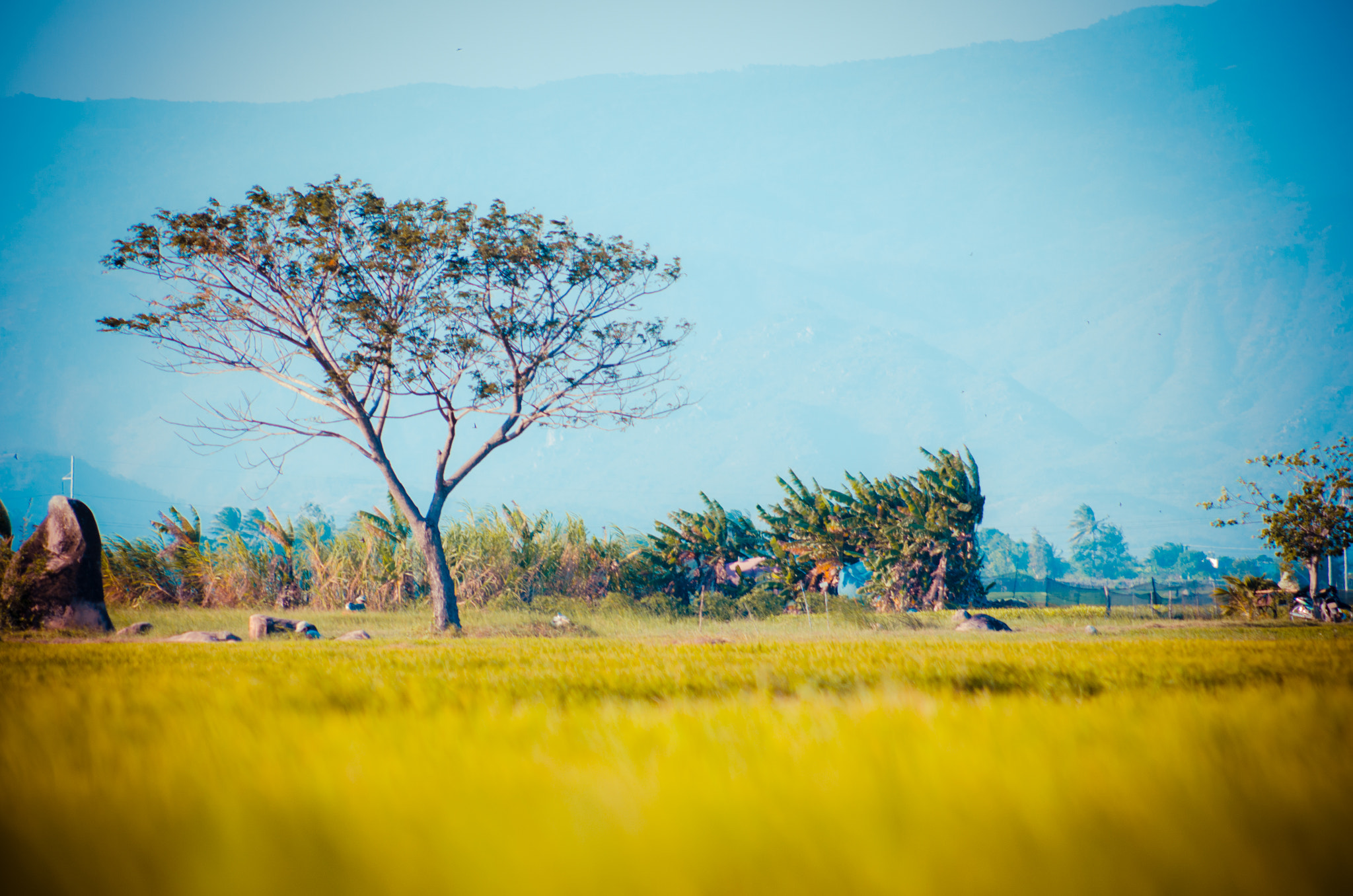 Nikon D7000 + AF Nikkor 70-210mm f/4-5.6D sample photo. Buổi chiều tuổi thơ photography