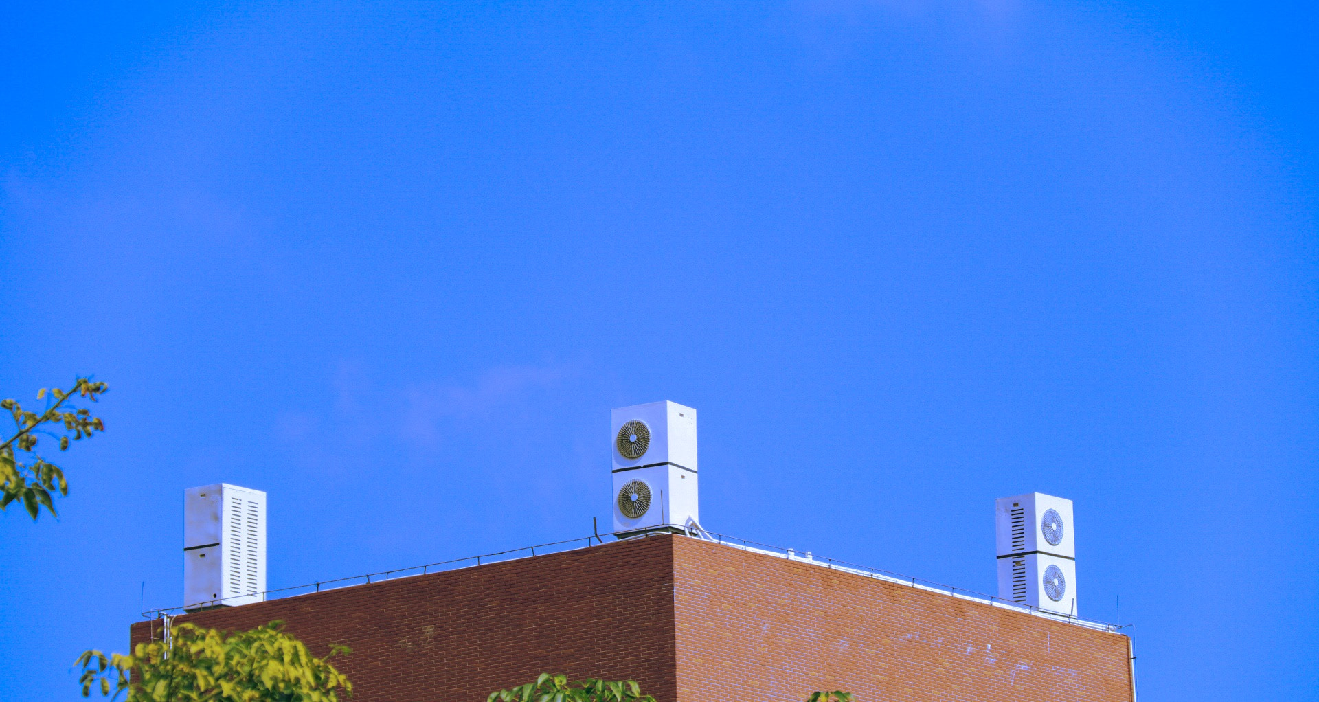 Canon EF-S 18-200mm F3.5-5.6 IS sample photo