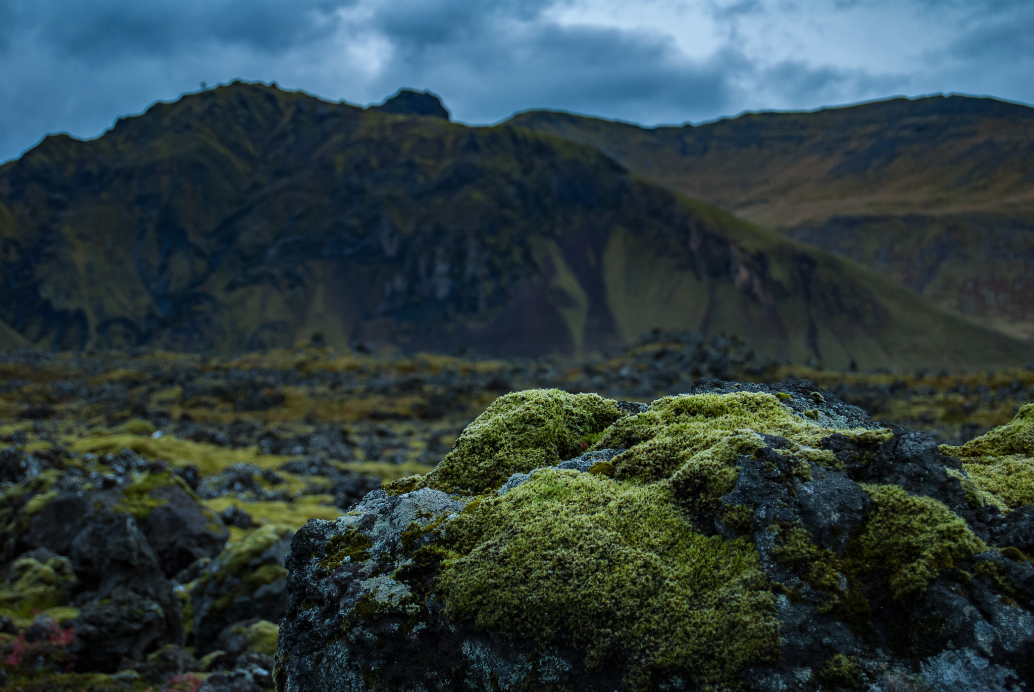 Nikon D80 sample photo. West iceland photography