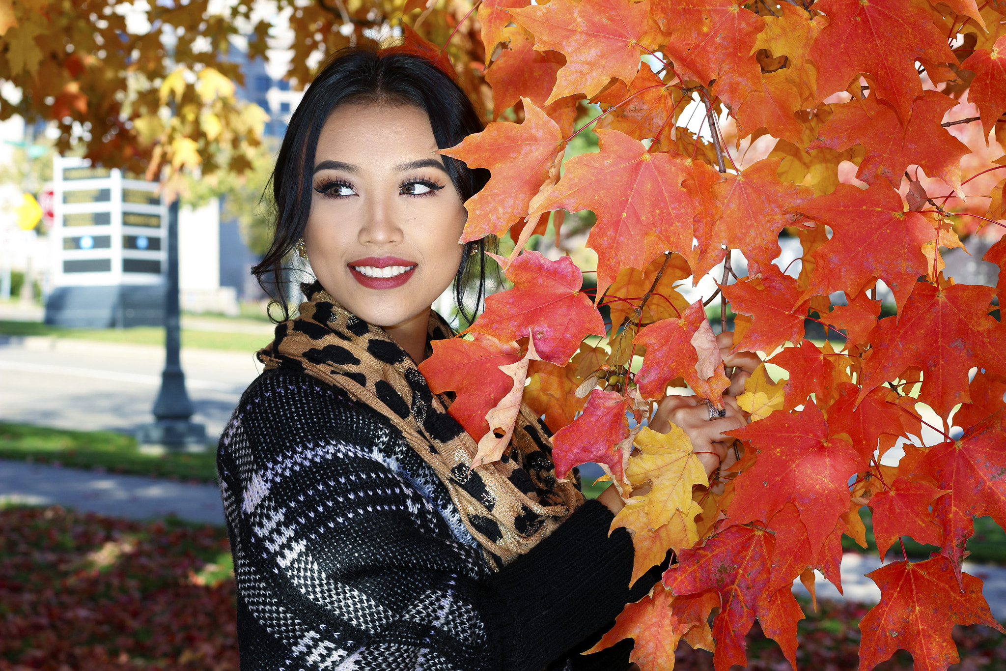 Canon EF 40mm F2.8 STM sample photo. Midwest fall, colorful leaves photography
