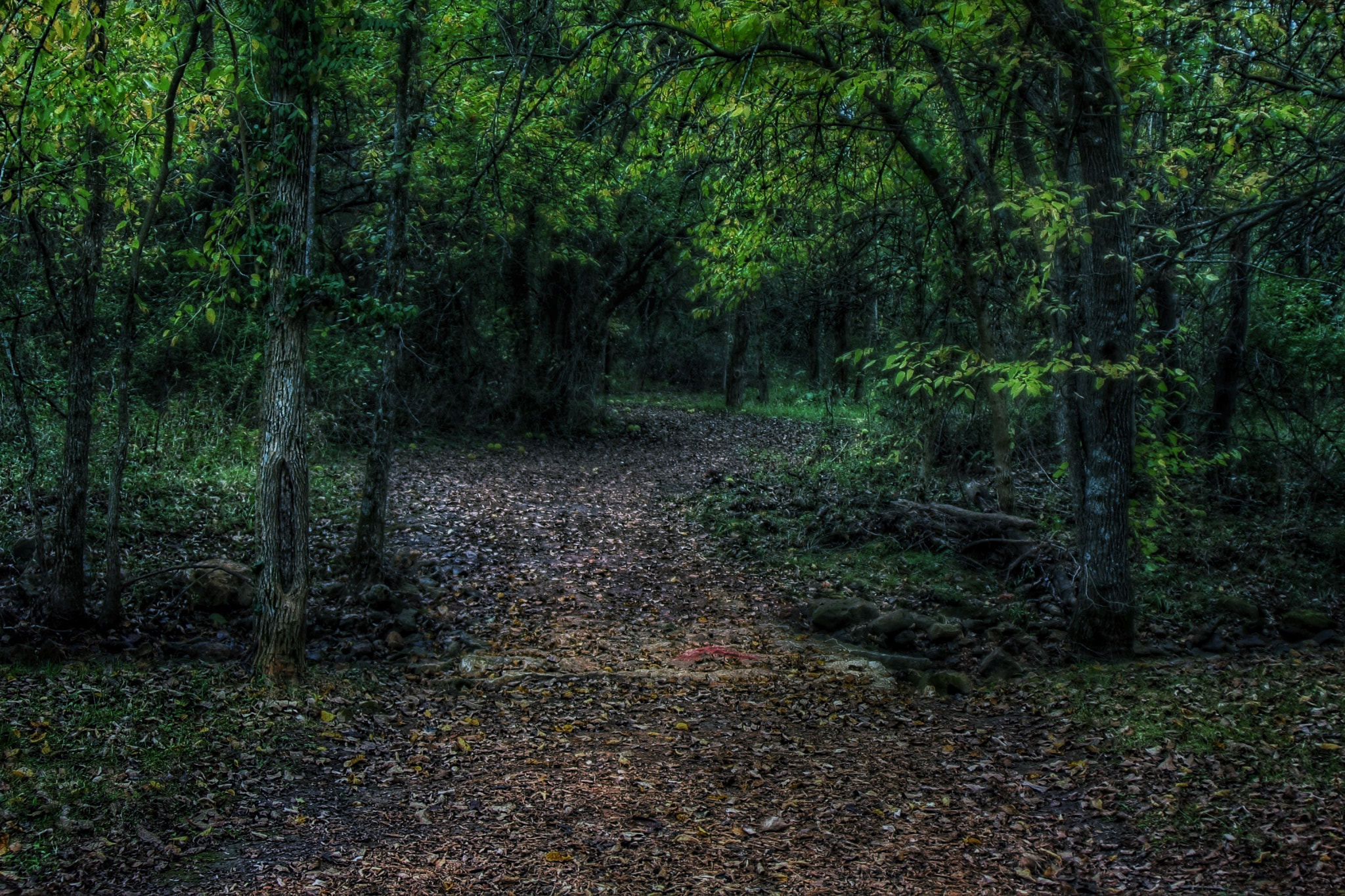 Tamron AF 28-200mm F3.8-5.6 XR Di Aspherical (IF) Macro sample photo. Fall on the trail photography